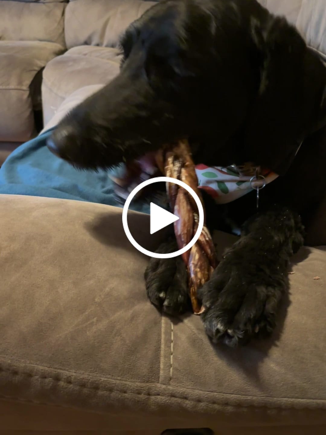 Customer video review of Trail Mix