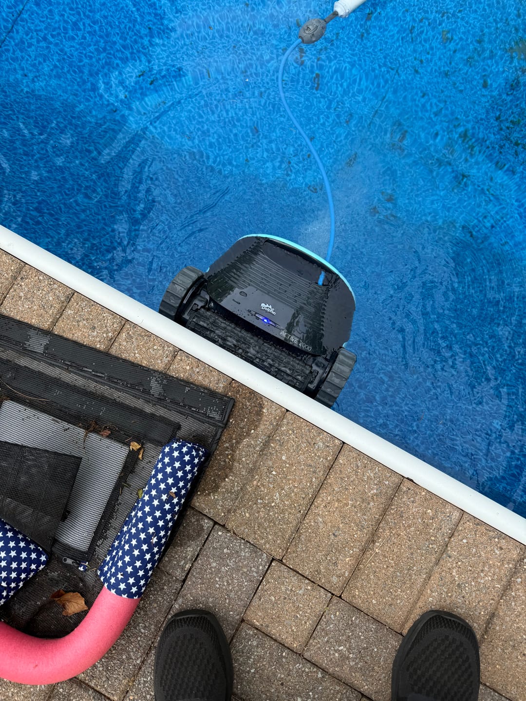 Customer photo review of Dolphin Active 2000 Corded Robotic Pool Vacuum Maytronics - Enhanced Warranty Included