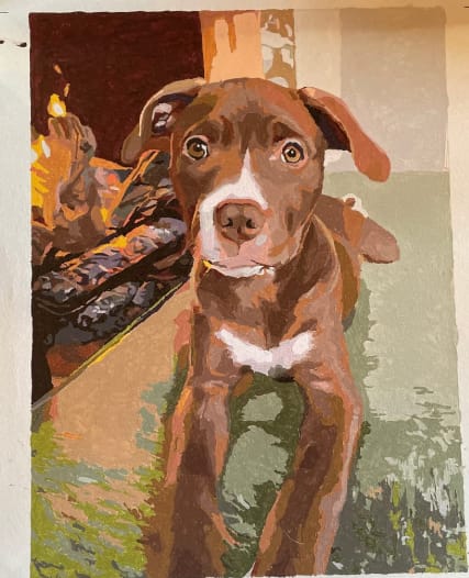 Customer photo review of Custom Paint By Numbers - Personalized Pet Portraits