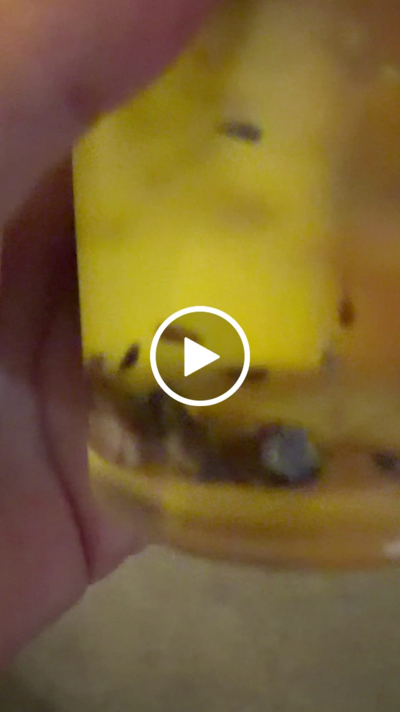 Customer video review of COSMIC DREAMS W/MAGNESIUM BODY OIL