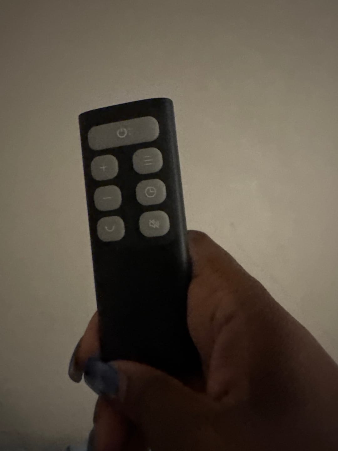Customer photo review of Remote Control for Serial Fans & Heaters
