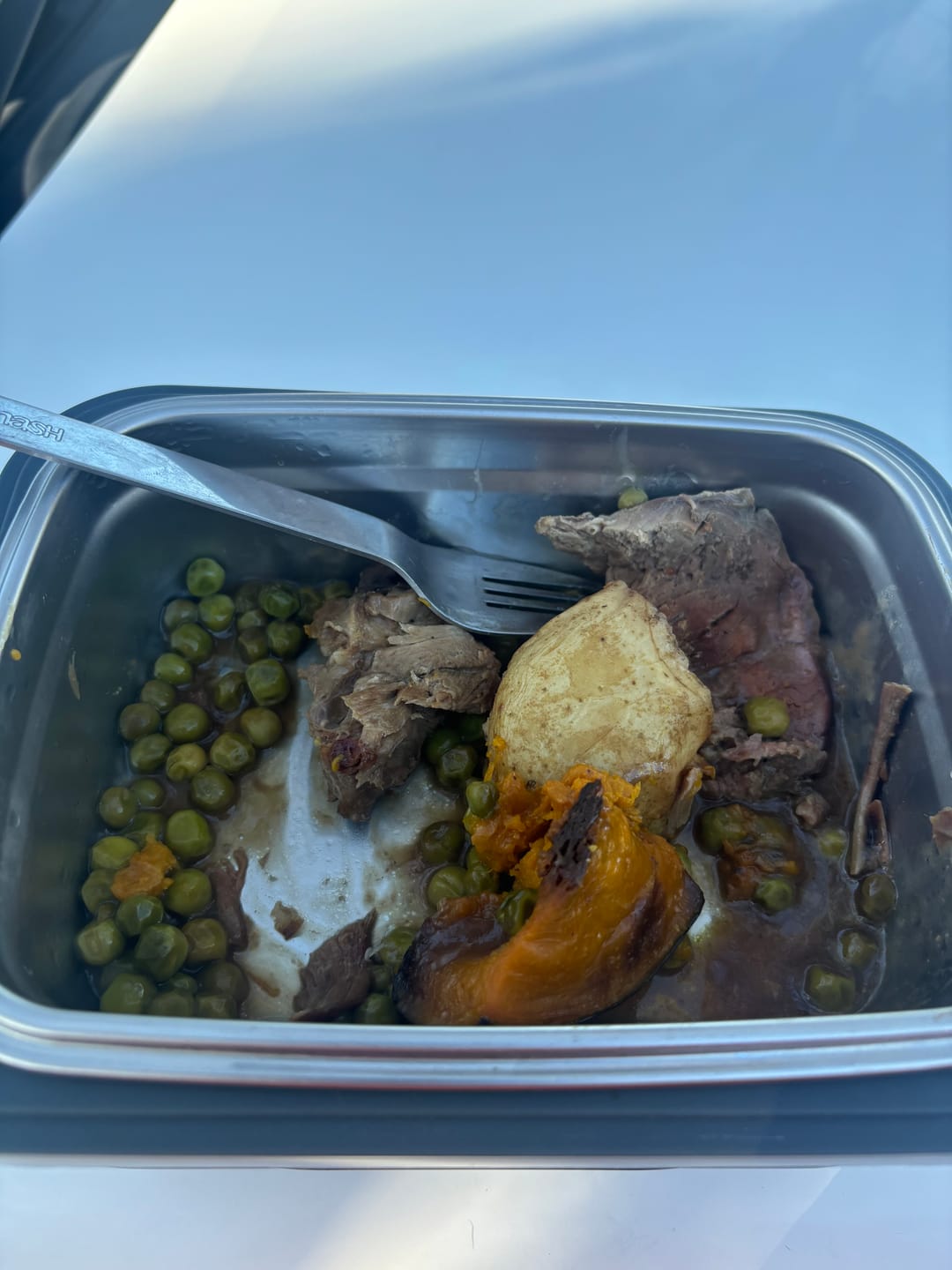 Customer photo review of Explorer Heating Lunchbox™ - Portable And Convenient
