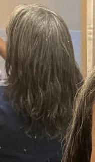 Customer photo review of Luvwin 4C Edges Salt & Pepper More Salt Highlight Front Glueless Straight Wig