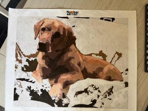 Customer's Custom Paint by Numbers Kit showing a partially completed painting of a golden-brown dog lying down.