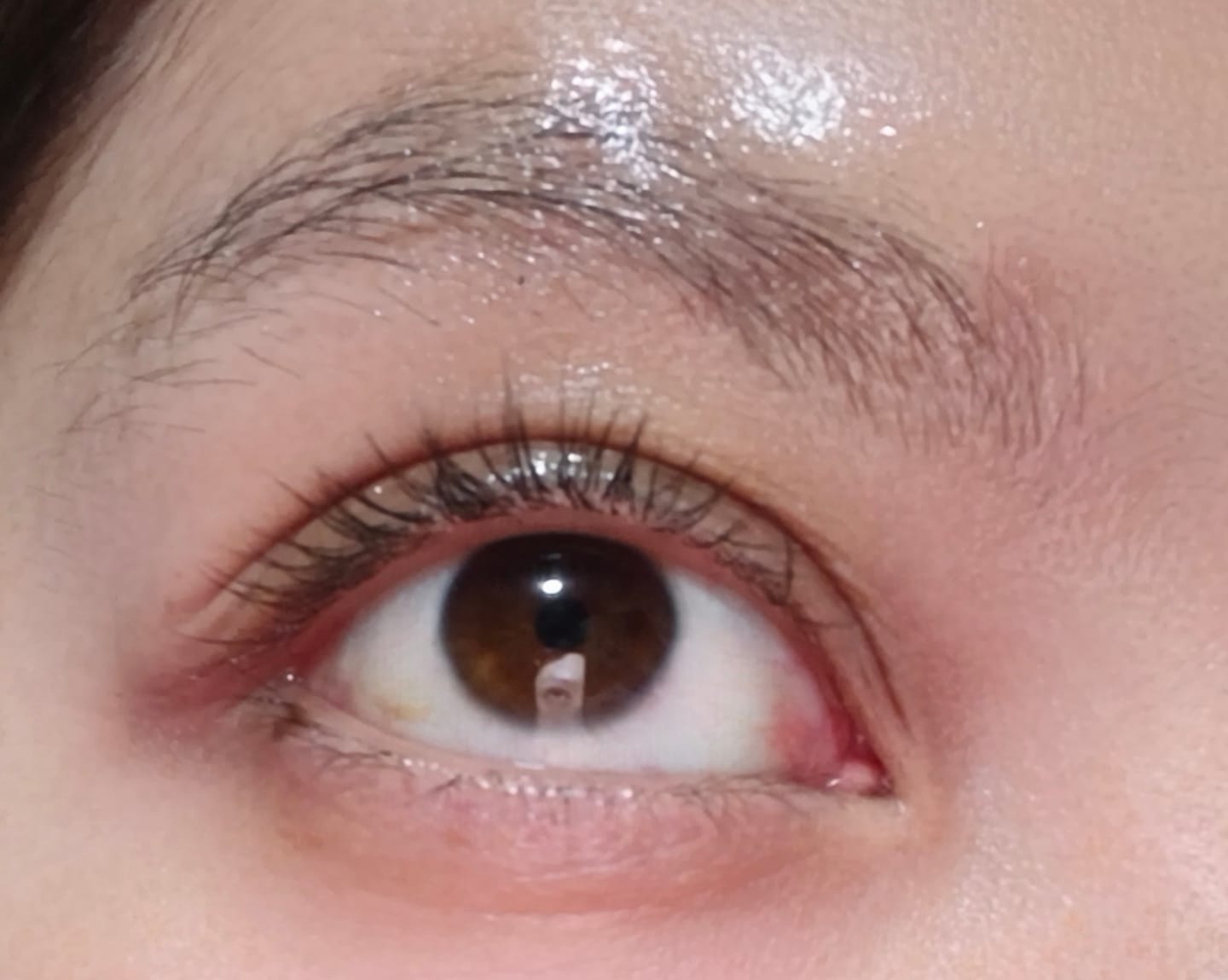 Customer photo review of Suero para pestañas y cejas