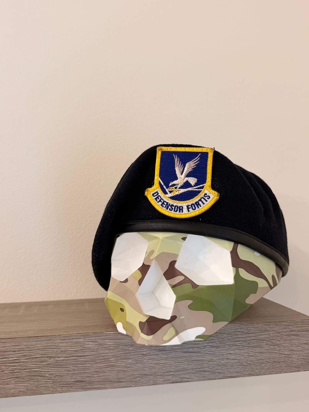 Customer photo review of Multicam