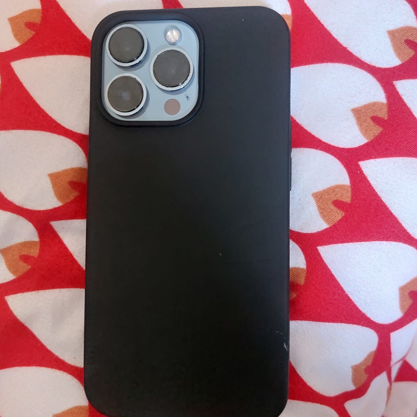 Customer photo review of iPhone 13 Pro - Matte Silikon Gummi Hülle Schwarz