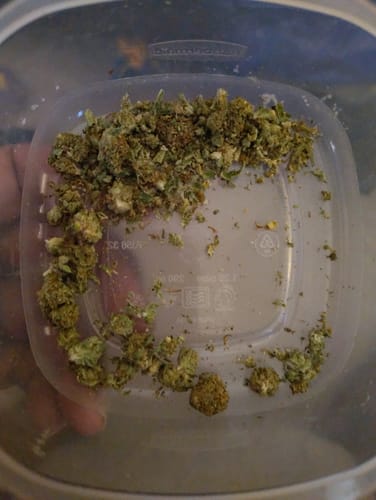 Chocolate Diesel - 28 Grams - Hybrid photo review