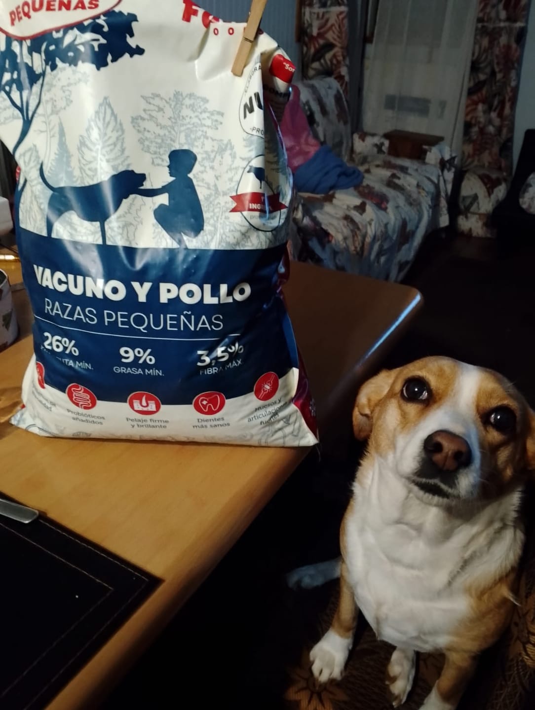 Customer photo review of PetFamily Foods Razas Pequeñas