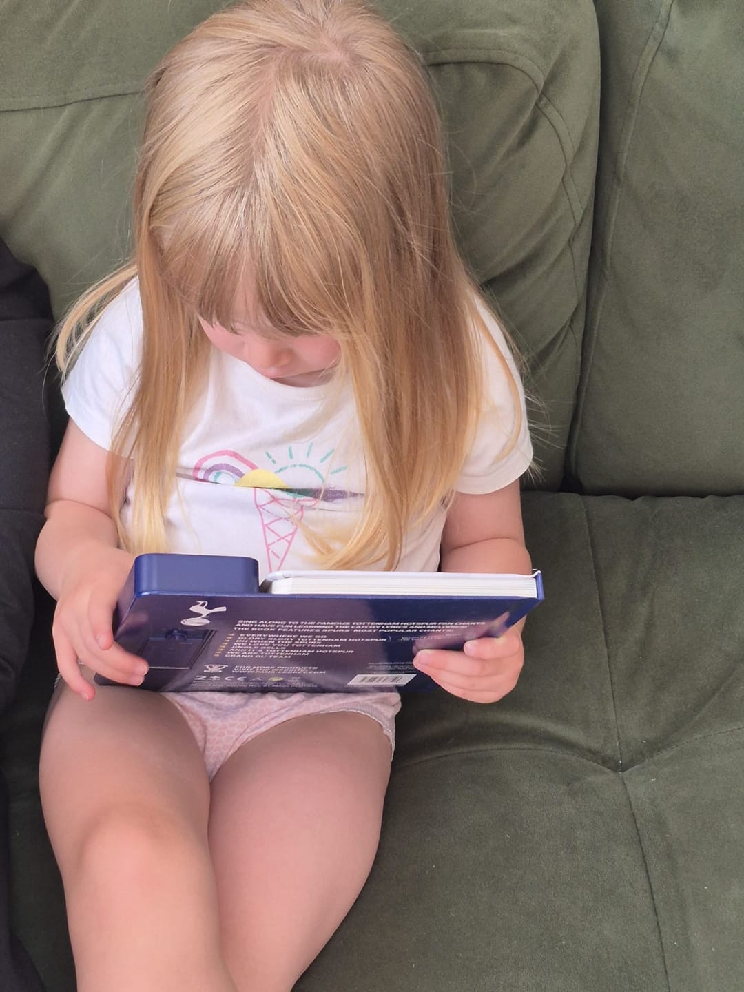 Customer photo review of Tottenham Hotspur Fan Chants Sound Book