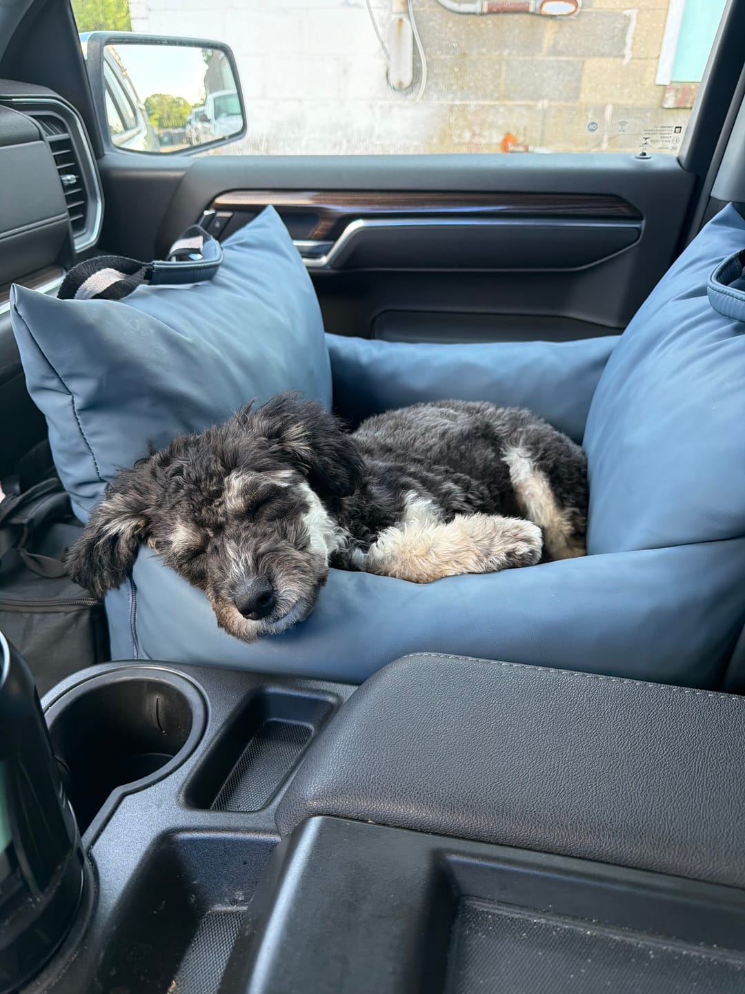 Customer photo review of The Dog Dock V2 New & Improved with LATCH / ISO FIX anchors