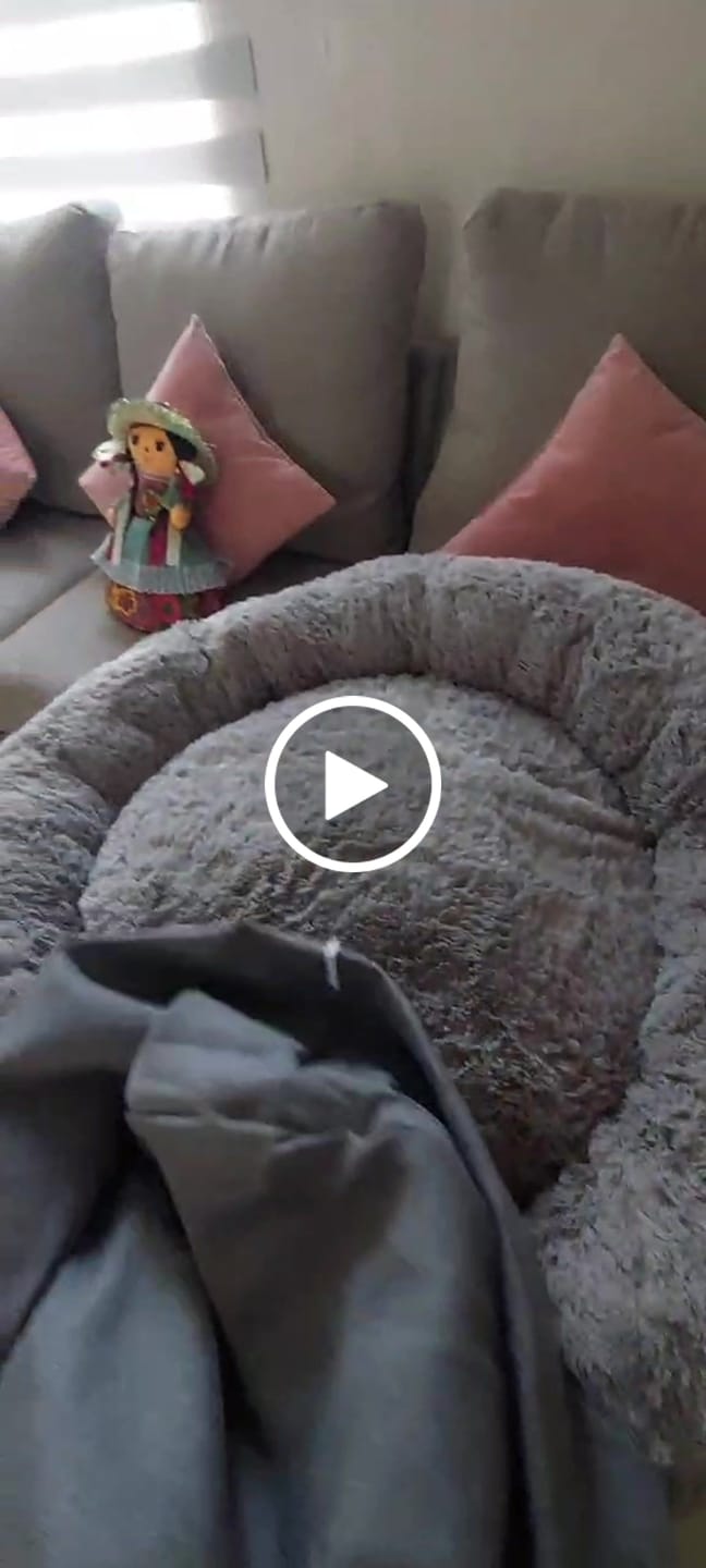 Customer video review of Funda Lino para Cama Antiestrés para Perros