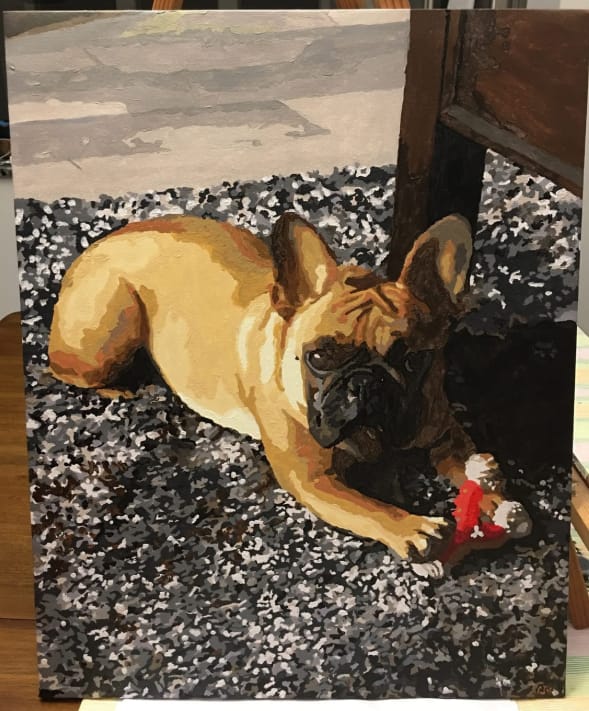 Customer photo review of Custom Paint By Numbers - Personalized Pet Portraits