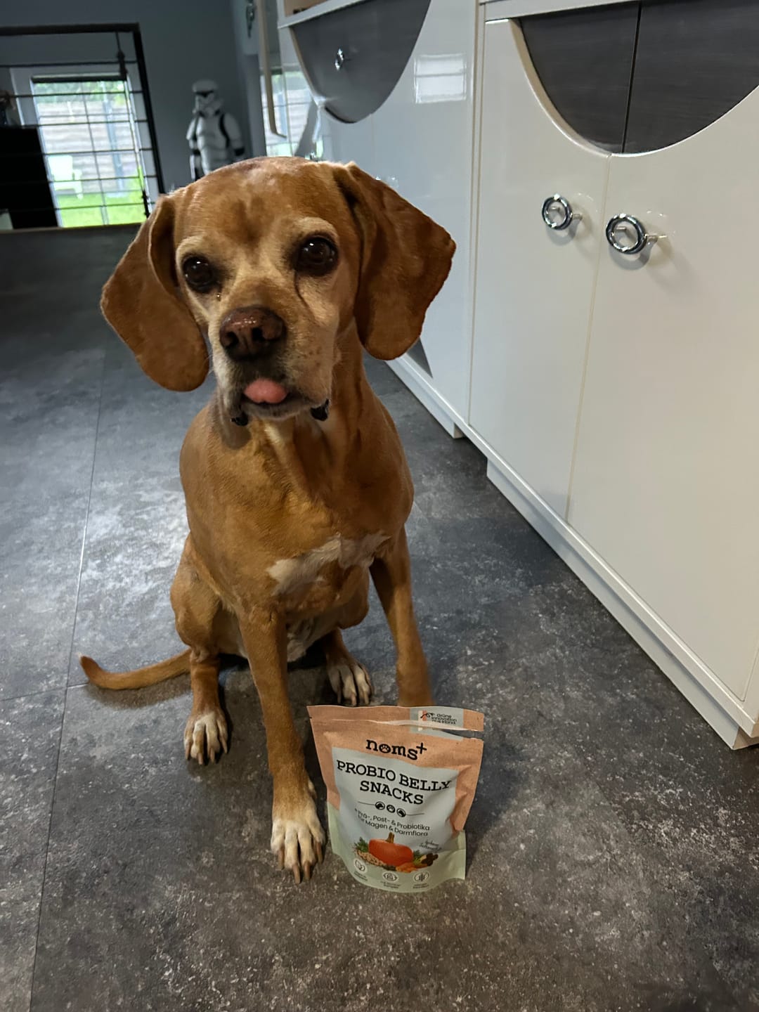 Customer photo review of Probio Belly Snacks für Hunde mit BIOTICS³-Komplex: Präbiotika, Probiotika & Postbiotika