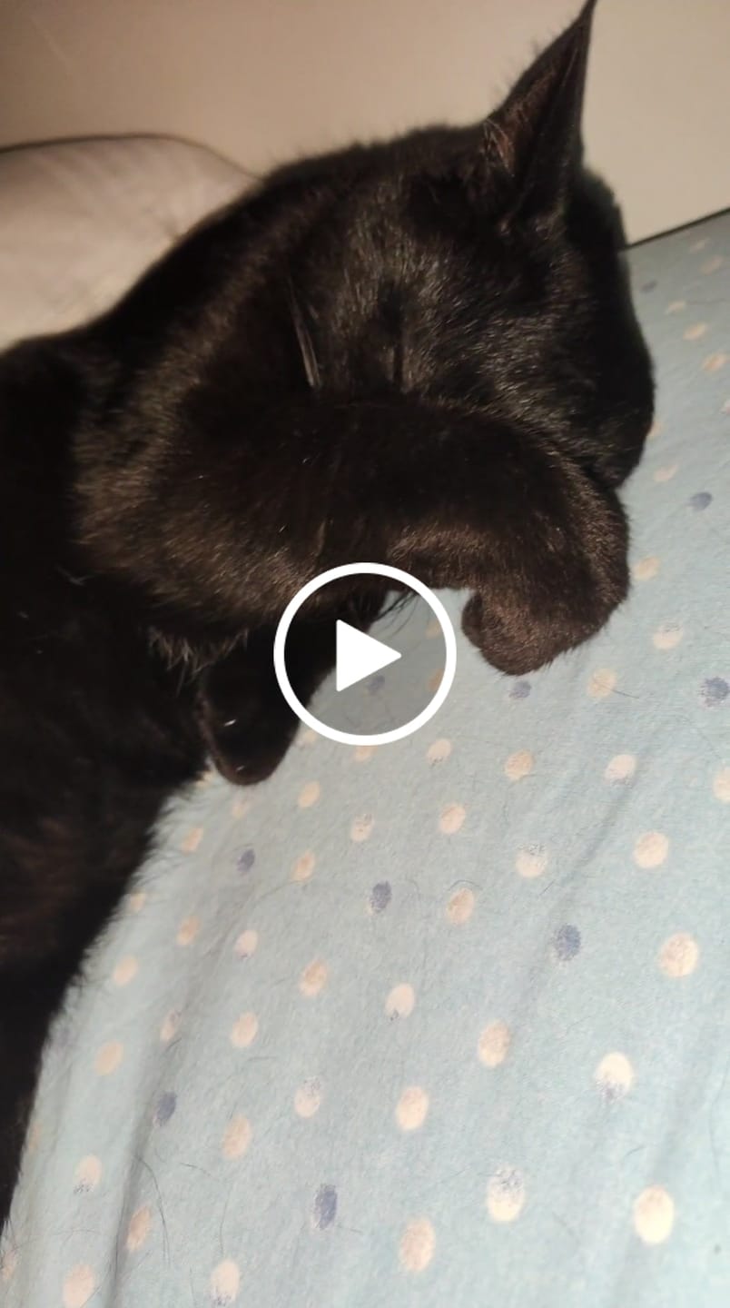 Customer video review of 2 Diffusori Calmanti PetNatura