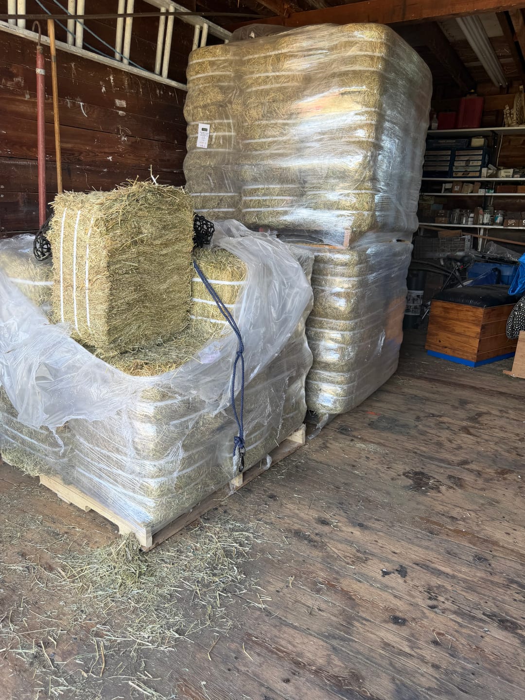 Customer photo review of Timothy Orchard Grass Hay (Click here for Qty Discount) Grass Hay (Buy More - Save More)(Includes delivery too!)