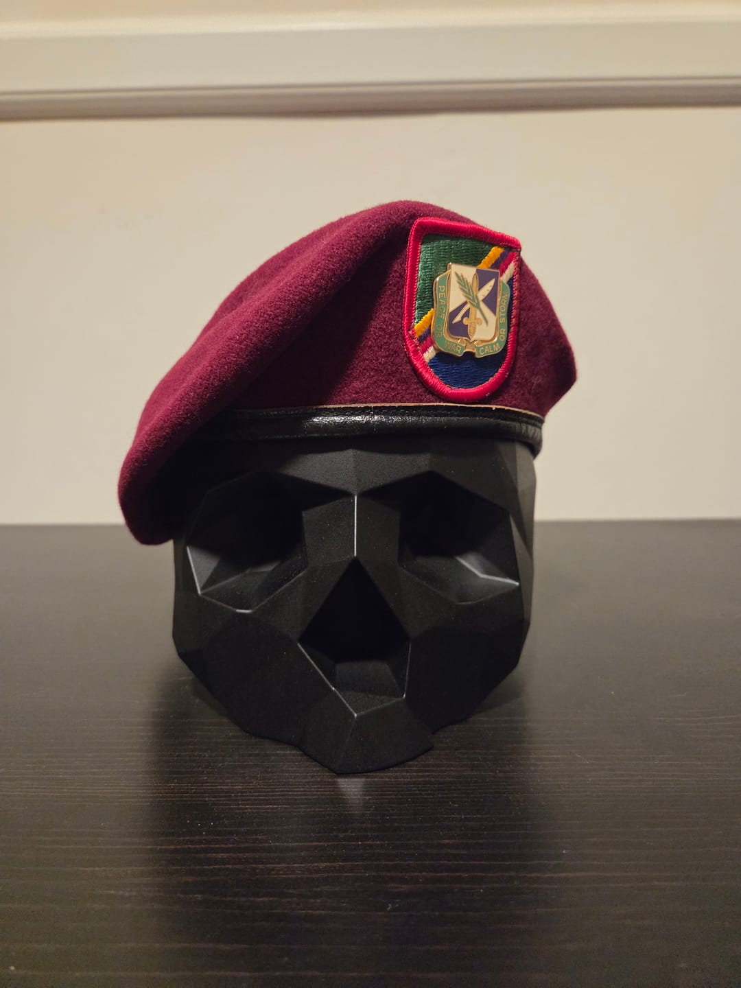 Customer photo review of Black Skull Stand