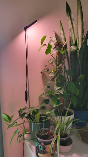 Customer photo of 28" Adjustable LED Plant Light from Hannah Z.