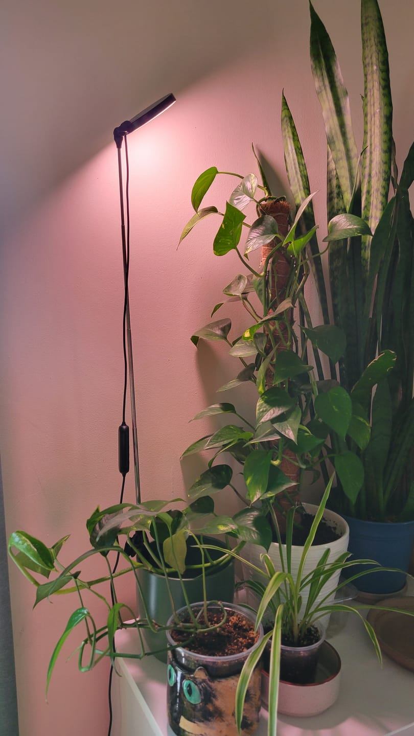 Customer photo review of 28" Adjustable LED Plant Light