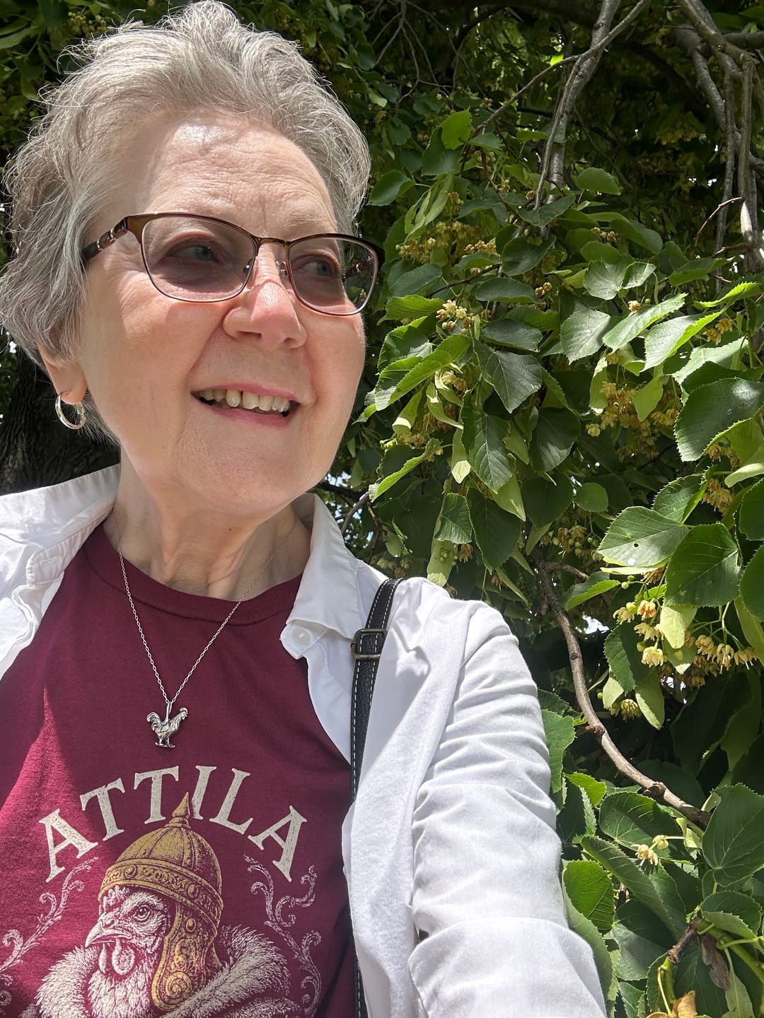 Customer photo review of Attila the Hen T-Shirt