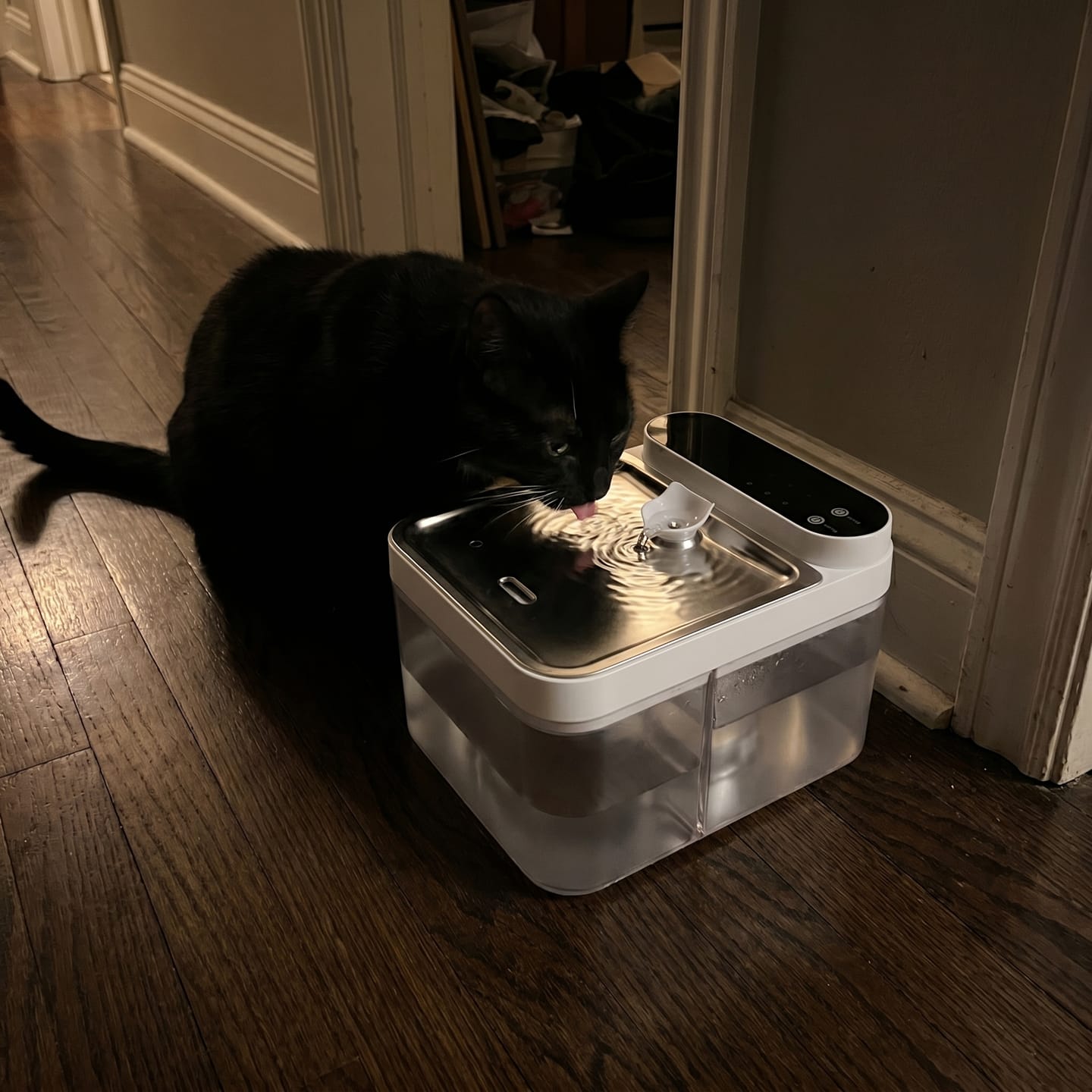 Customer photo review of Purestream AquaOne - Automatic Cat Fountain