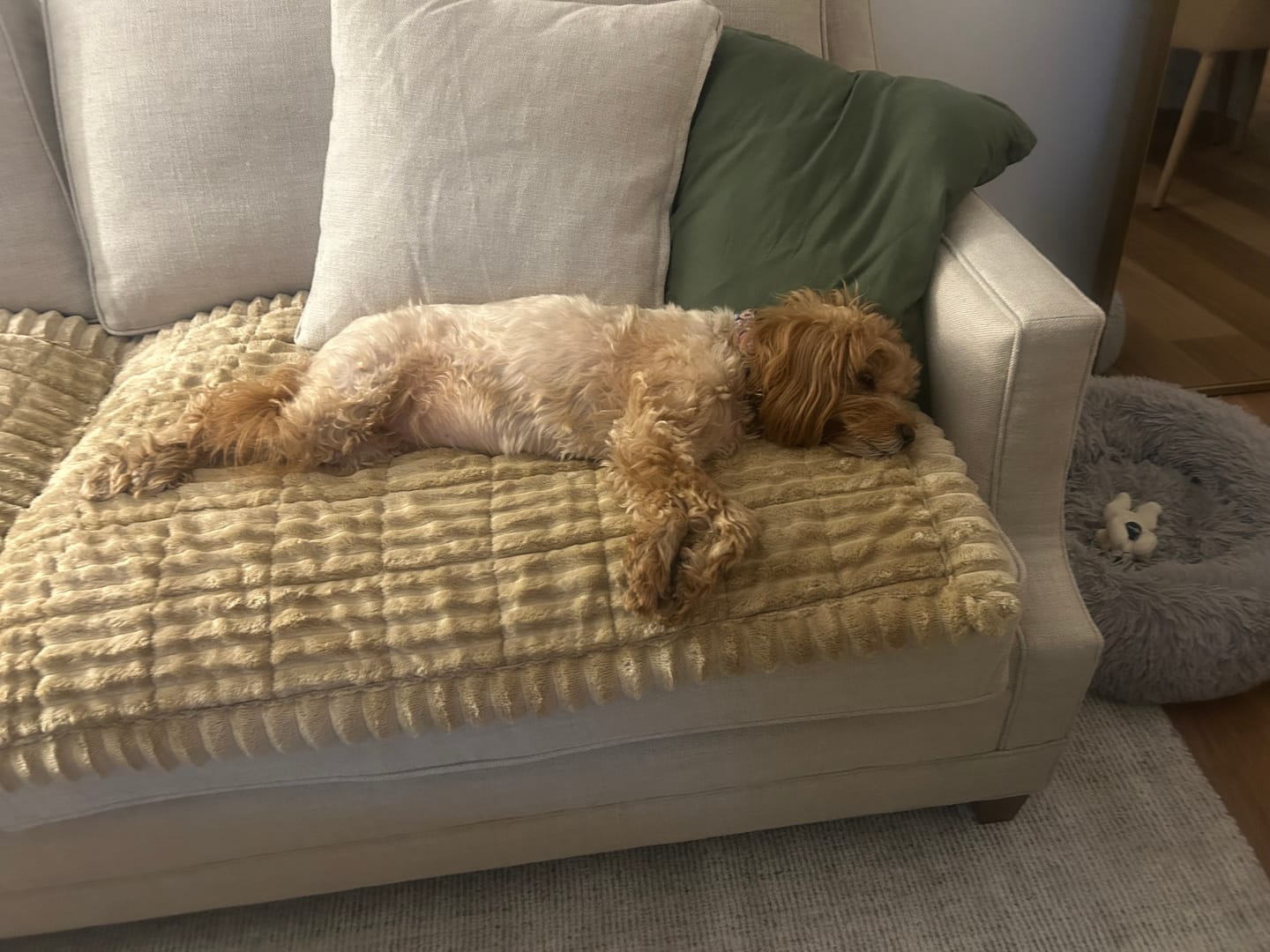Customer photo review of LuxeLounge™ Couch Cover