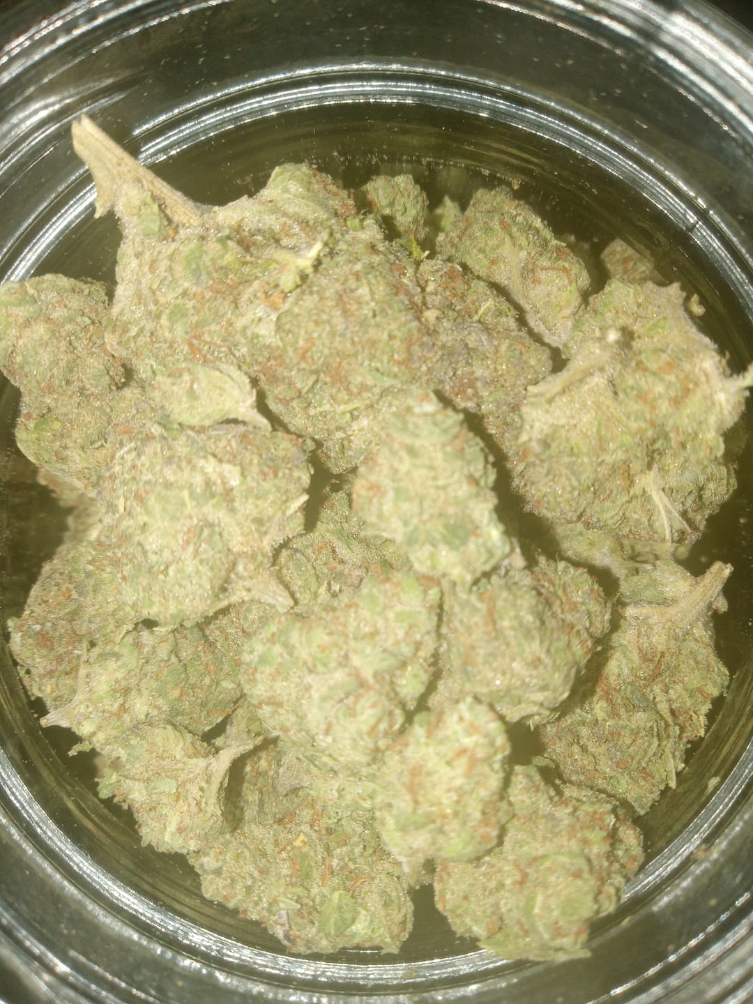 Customer photo review of Grape Gas - Bulk - Hybrid