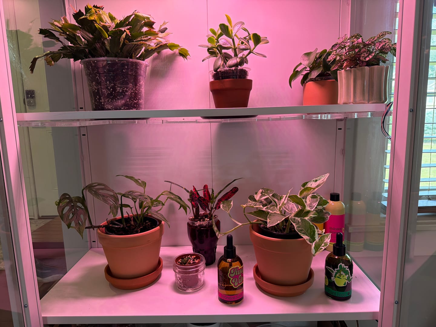 Customer photo review of Plant Food