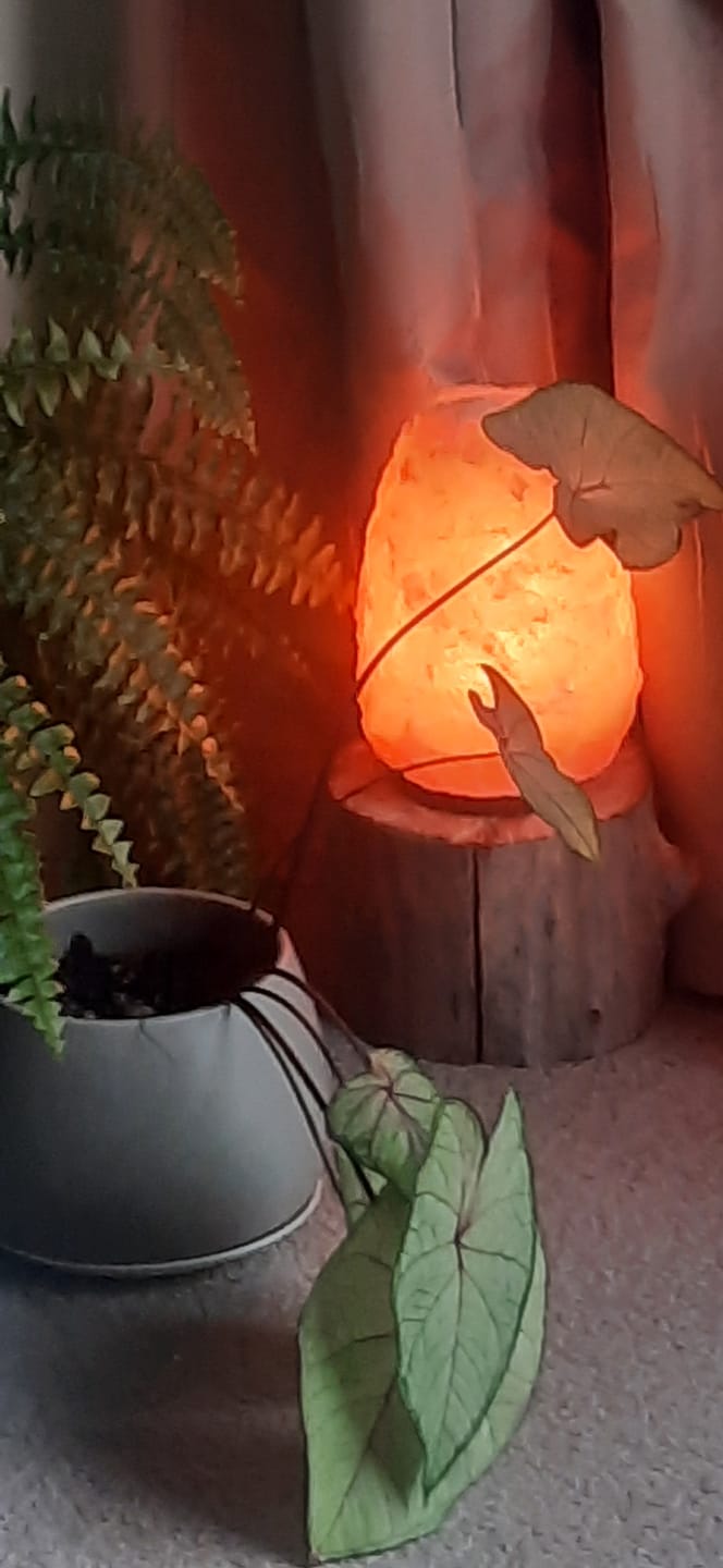 Customer photo review of Salt Lamp Bulb 12W-12V Low Voltage