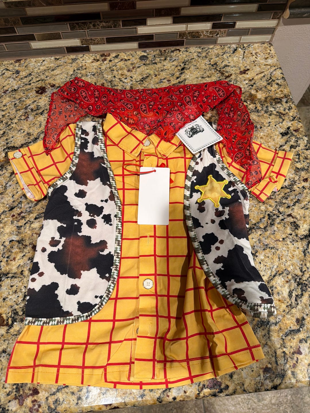 Customer photo review of Friend in me Shirt with attached Vest