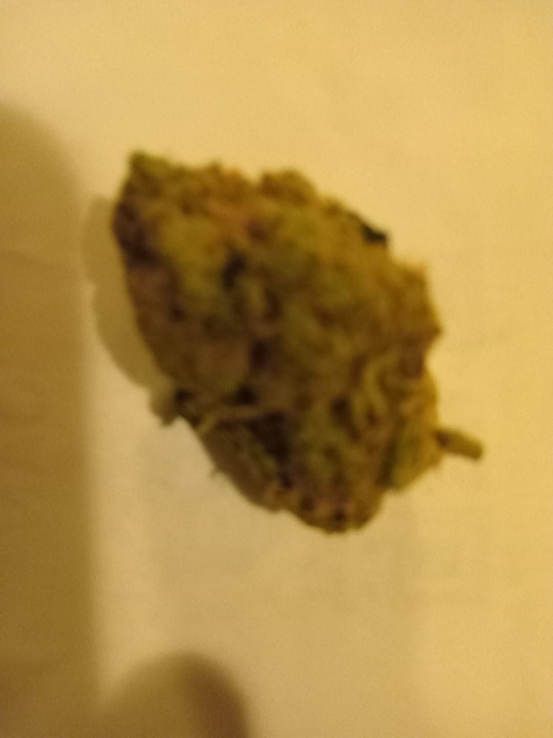 Customer photo review of Biscotti THCA Flower (Premium)