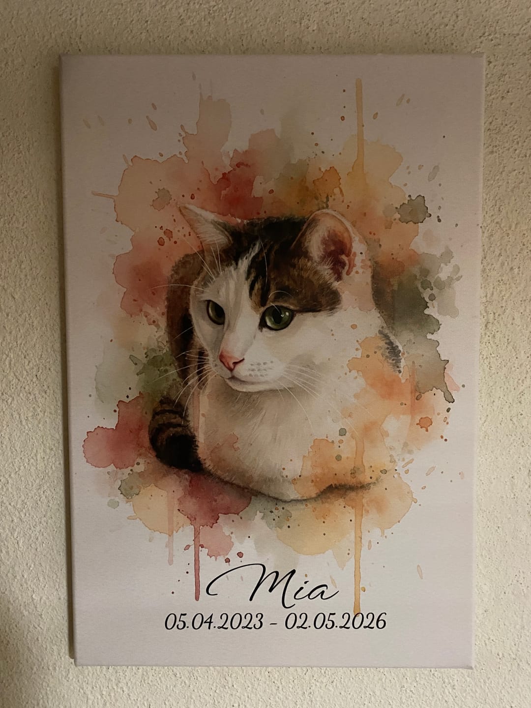Customer photo review of Deine Katze als Aquarell Tierportrait | Geschenk für Katzenliebhaber