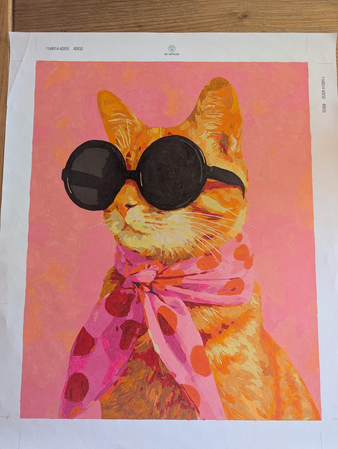 Customer photo review of Stylish ginger cat | Paint by Number