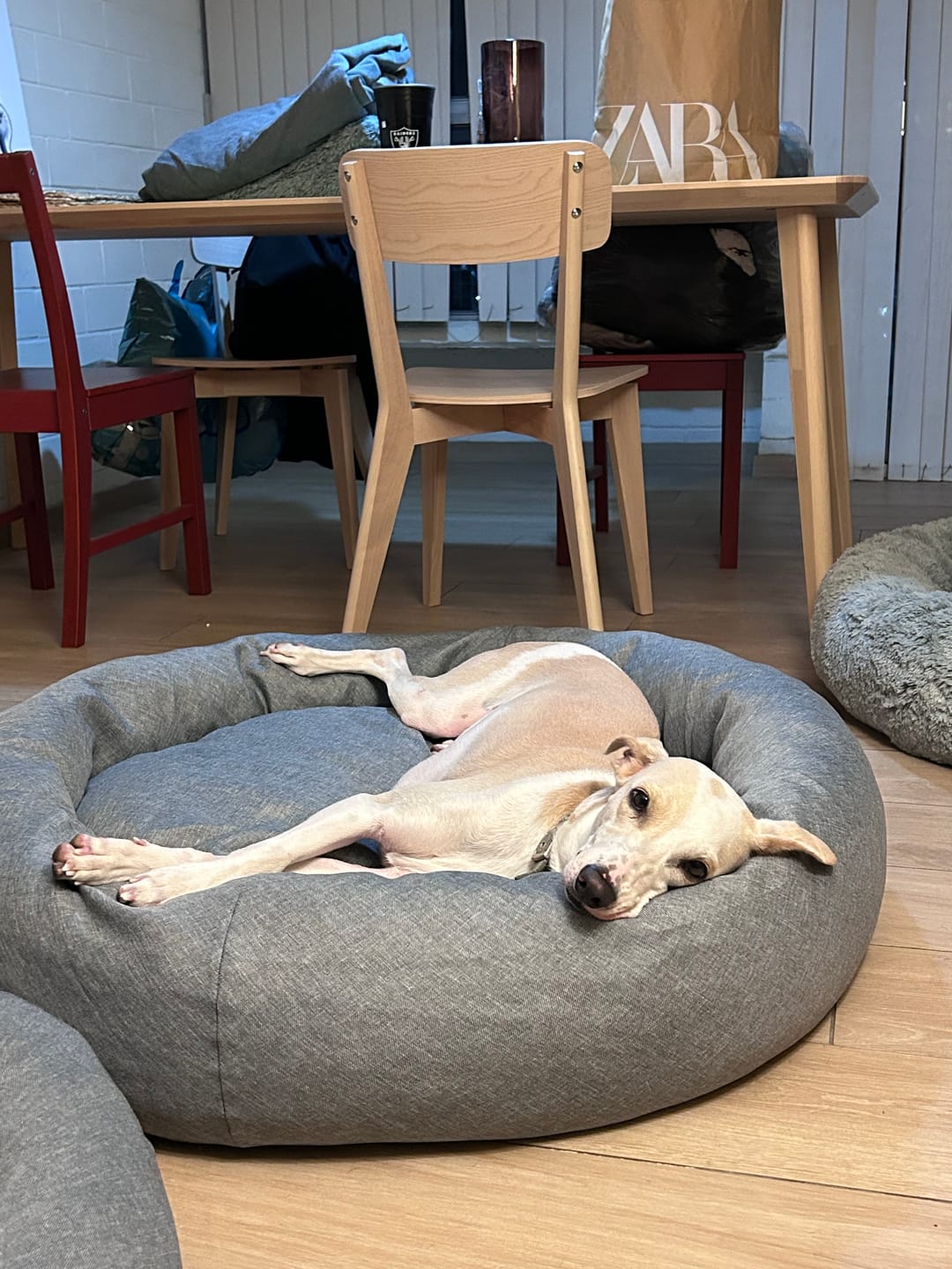 Customer photo review of Funda Lino para Cama Antiestrés para Perros