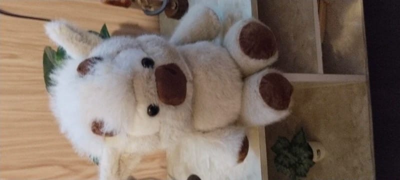 Customer photo review of Coco-Hug™ El peluche que corre