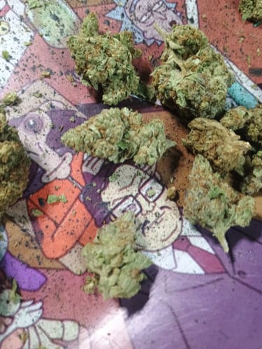 Chocolate Diesel - 28 Grams - Hybrid photo review