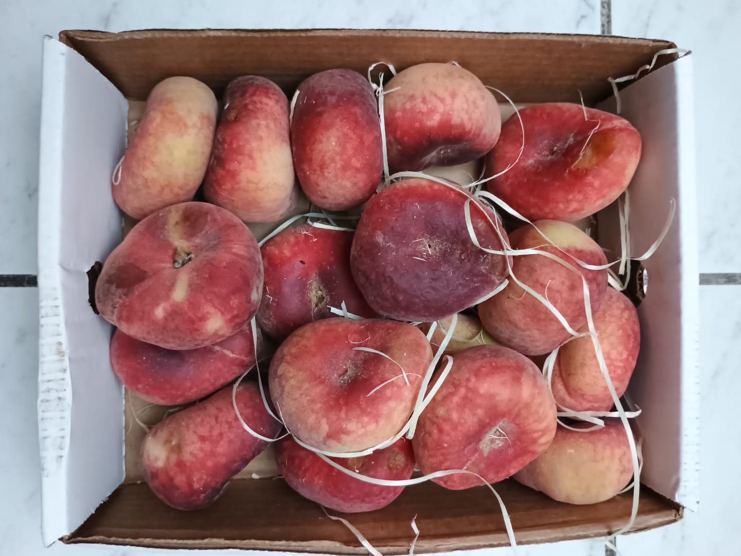 Customer photo review of Weinbergpfirsiche "Paraguayo" Bio von Jordi 2kg Box Sonderpreis %
