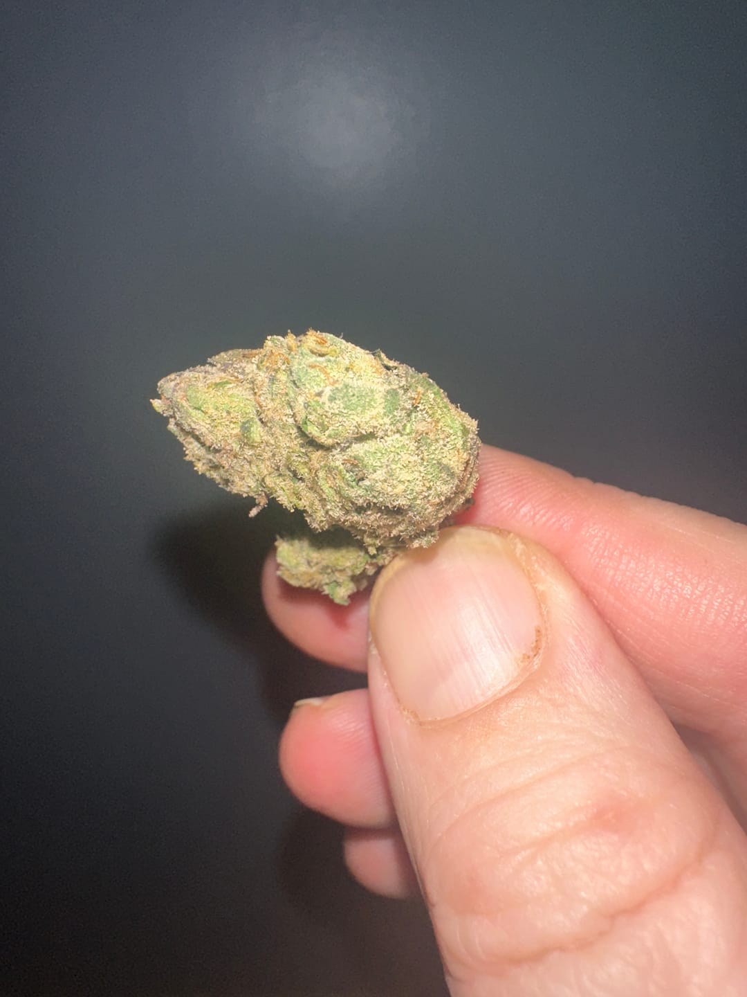Customer photo review of Boutique Exotics - Berry Pop - Minis - 28 Grams - Hybrid