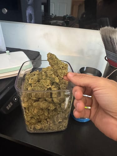 Trainwreck - Bulk - Hybrid photo review