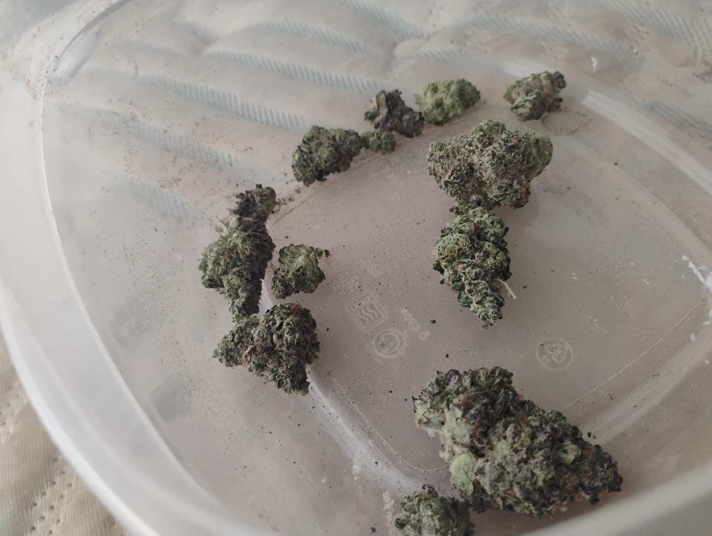 Customer photo review of Boutique Exotics - Coffin Candy - 28 Grams - Hybrid