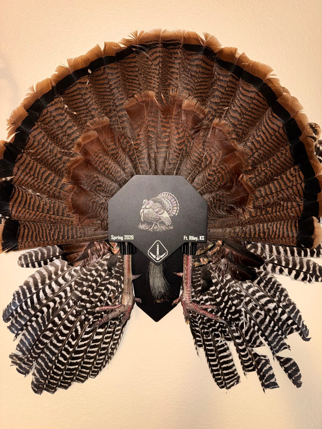 Customer photo review of FeatherLok | Turkey Mount