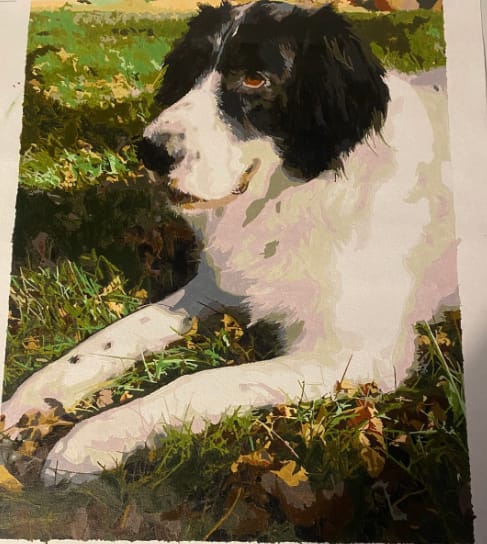Customer photo review of Custom Paint By Numbers - Personalized Pet Portraits