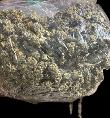 White Gelato - Bulk - Indica photo review