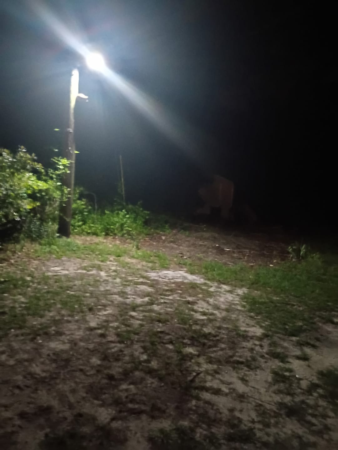 Customer photo review of 140W Solar Street Light 14000 Lumens