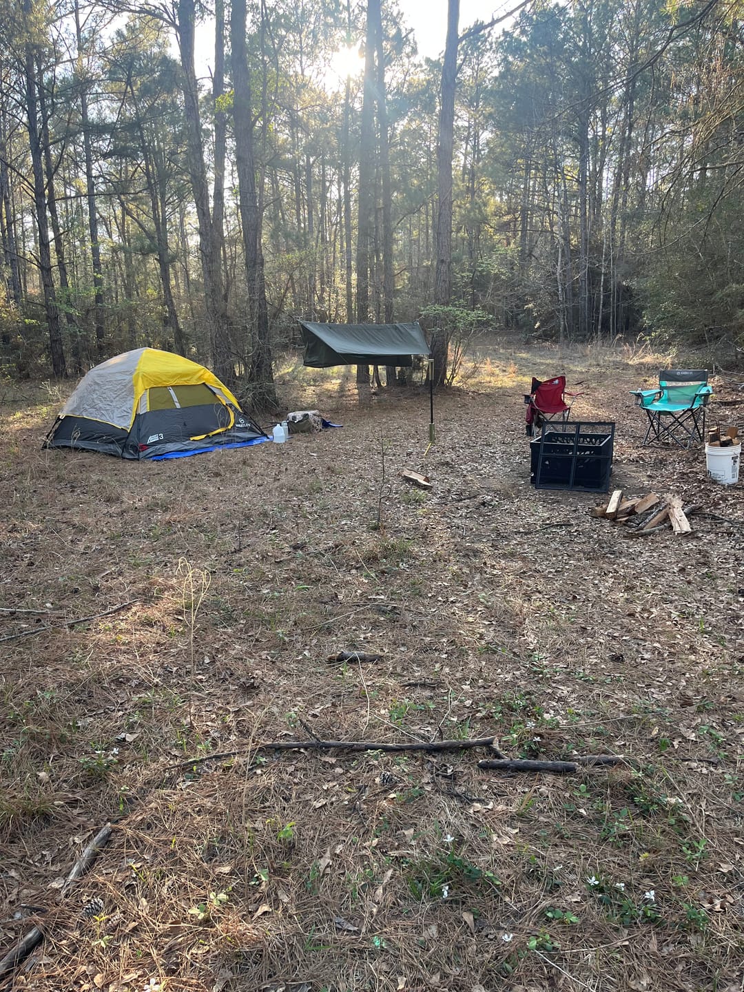 Customer photo review of Haven Camp Fly