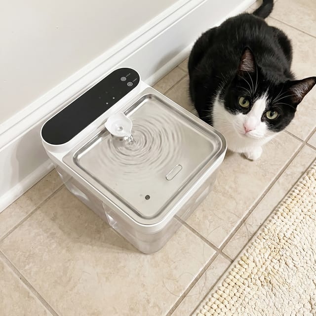 Customer photo review of Purestream AquaOne - Automatic Cat Fountain