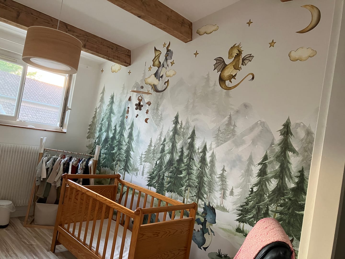 Customer photo review of Papier Peint Animaux   Petits Dragons et Forêt