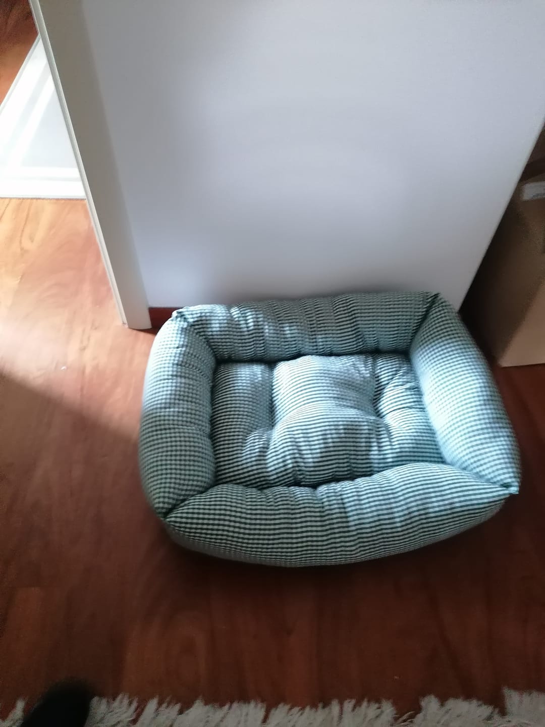 Customer photo review of Divanetto Cotone Vichy Verde Scuro