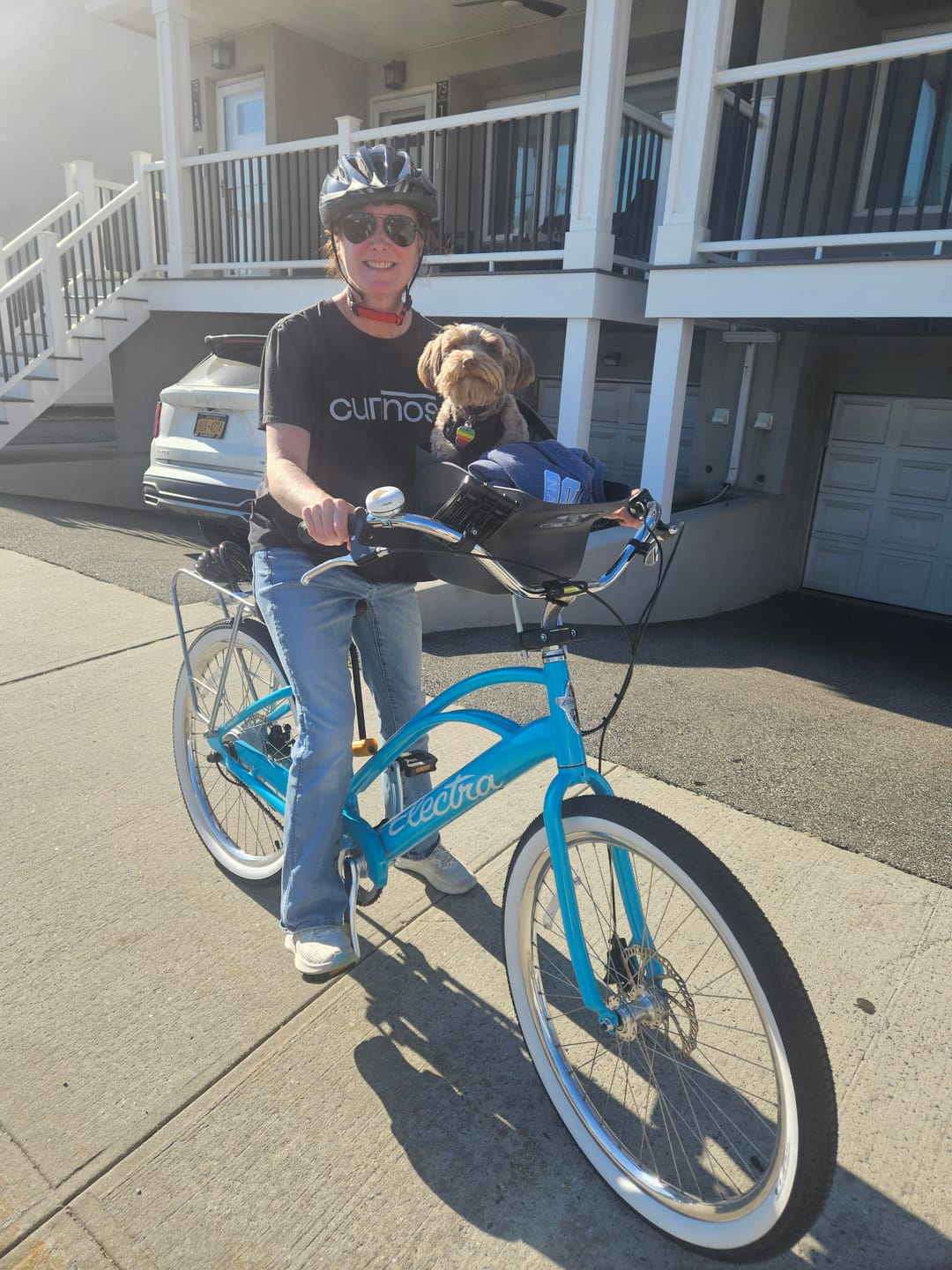 Customer photo review of Kvisp Dog Bike Carrier