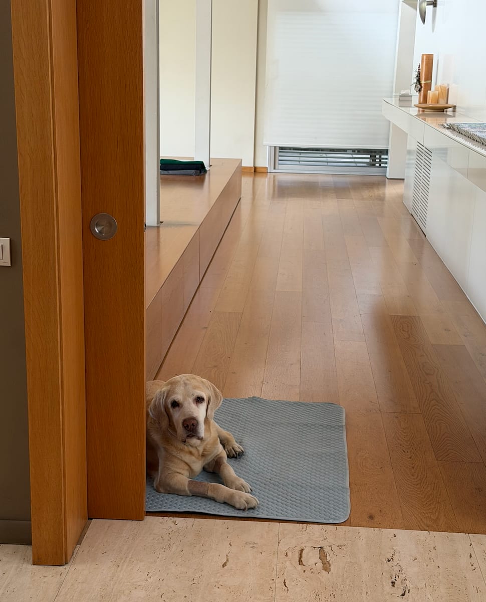 Customer photo review of Frostcore™ Cooling Mat 2 Pack